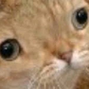 Meet your Posher, Lillian